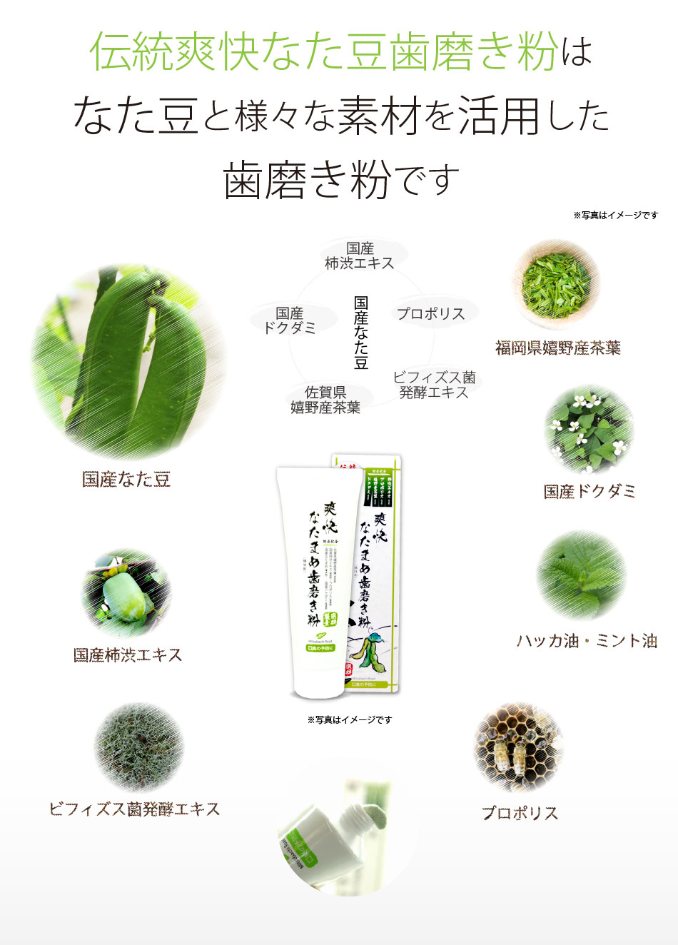 伝統爽快なたまめ歯磨き粉 口腔トラブル